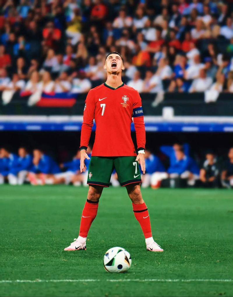 和无畏的拼 和无畏的拼